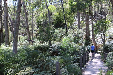 Self-Guided Waterfall Gully To Mount Lofty Hike From Adelaide - Sunshine Coast Guide 2