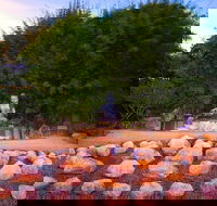 Byron Bay and the Crystal Castle Day Tour from Gold Coast - Sunshine Coast Guide