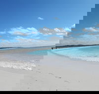 Shipwreck Special Nature Tour/Half Day Tour