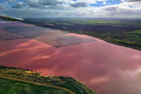 Kalbarri, Pink Lake And Abrolhos Islands Nature Tour - Sunshine Coast Guide 1