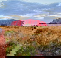 Uluru Ayers Rock Sunset with Outback Barbecue Dinner and Star Tour - Sunshine Coast Guide