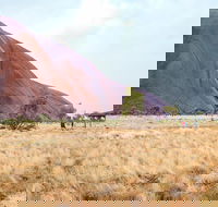 Uluru Sunrise and Guided Base Walk - Sunshine Coast Guide