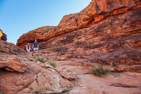 Kings Canyon Guided Rim Walk - Sunshine Coast Guide 0