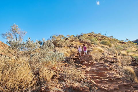 Kings Canyon Guided Rim Walk - Sunshine Coast Guide 1