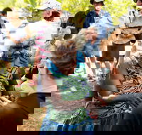 Tiwi Islands Cultural Experience from Darwin Including Ferry - Sunshine Coast Guide