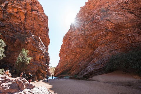 West MacDonnell Ranges- Half Day Trip From Alice Springs - Sunshine Coast Guide 0