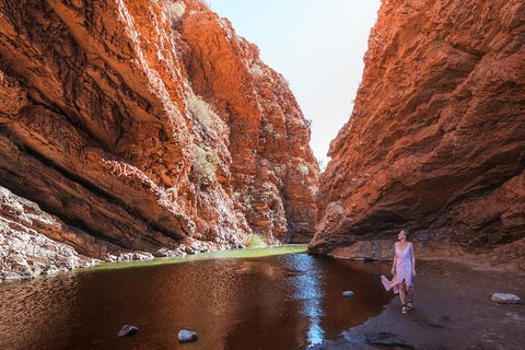 West MacDonnell Ranges- Half Day Trip From Alice Springs - Sunshine Coast Guide 1
