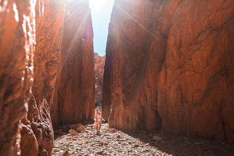 West MacDonnell Ranges- Half Day Trip From Alice Springs - Sunshine Coast Guide 4
