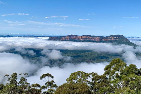 Small-Group Blue Mountains Tour With A Local Guide - Sunshine Coast Guide 4