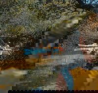 Kayak Tour in Adelaide Dolphin Sanctuary