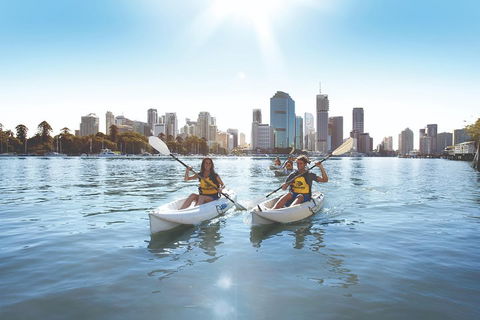 Brisbane Kayak Tour - Sunshine Coast Guide 0