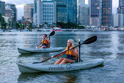 Brisbane Kayak Tour - Sunshine Coast Guide 3