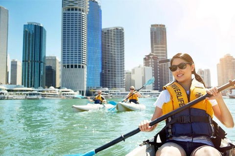 Brisbane Kayak Tour - Sunshine Coast Guide 5