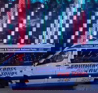 Evening Rainforest  Glow Worm Experience - Sunshine Coast Guide