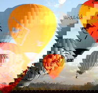 Natural Bridge  Springbrook Waterfalls Tour  Hot Air Balloon with Breakfast - Sunshine Coast Guide