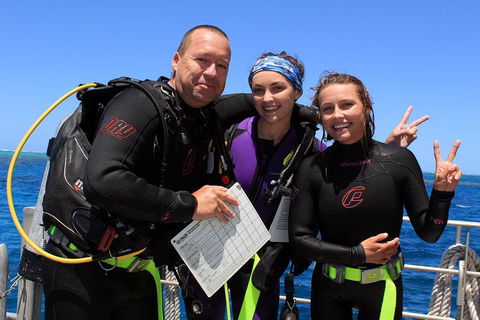 Quicksilver Dive 4 Day PADI Learn To Dive Course - Sunshine Coast Guide 0