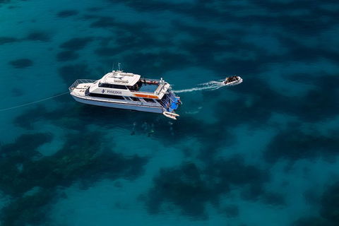 Quicksilver Dive 4 Day PADI Learn To Dive Course - Sunshine Coast Guide 1