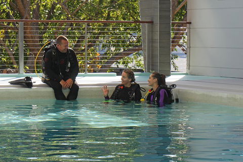 Quicksilver Dive 4 Day PADI Learn To Dive Course - Sunshine Coast Guide 3