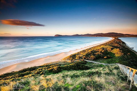 Bruny Island Private Charter Service - Sunshine Coast Guide 0