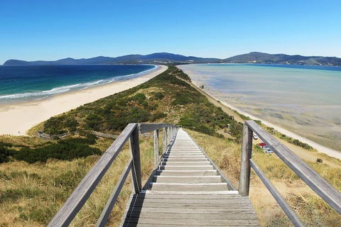 Bruny Island Private Charter Service - Sunshine Coast Guide 4