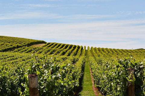 West Tamar Wine Tour - Sunshine Coast Guide 2