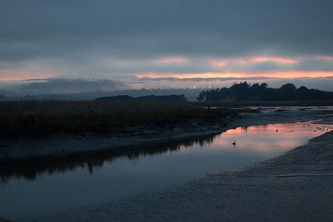 Launceston Private Charter Service - Sunshine Coast Guide 1