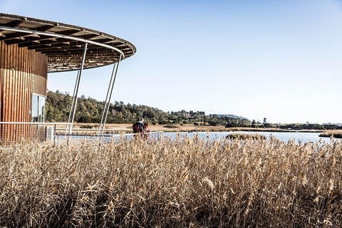 Launceston Private Charter Service - Sunshine Coast Guide 2