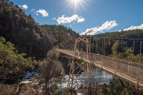 Launceston Private Charter Service - Sunshine Coast Guide 5