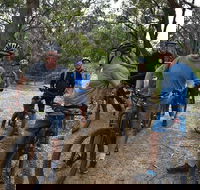 Fully guided E-Mountain Bike Tour on the beautiful Mornington Peninsula. - Sunshine Coast Guide