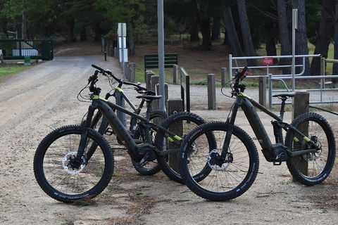 Fully Guided E-Mountain Bike Tour On The Beautiful Mornington Peninsula. - Sunshine Coast Guide 2