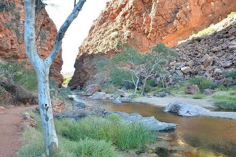Alice Springs, Uluru Ayers Rock & Kings Canyon 8 Days Touring Package - Sunshine Coast Guide 2