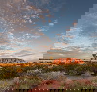 Uluru Kata Tjuta and Kings Canyon Camping Safari from Alice Springs - Sunshine Coast Guide