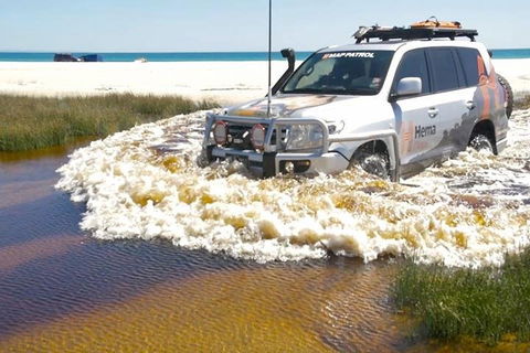 Full-Day Moreton Island 4x4 Sightseeing Tour - Sunshine Coast Guide 0