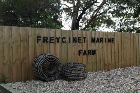 Active Day Tour One-Way From Launceston To Hobart Via Wineglass Bay - Sunshine Coast Guide 3