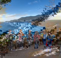 Historic Port Arthur Day Trip from Hobart Including Cliff-Top Walk to Waterfall Bay - Sunshine Coast Guide