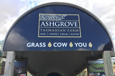 Cradle Mountain Active Day Trip From Launceston - Sunshine Coast Guide 4