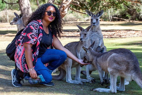 3-Day Tasmania Combo: Hobart To Launceston Active Tour - Sunshine Coast Guide 5