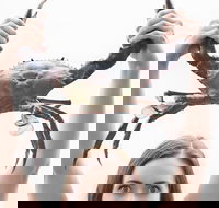 The Ultimate Gold Coast Attractions Pass - Sunshine Coast Guide