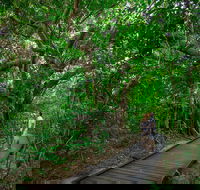 Green Island Eco Adventure from Cairns - Sunshine Coast Guide