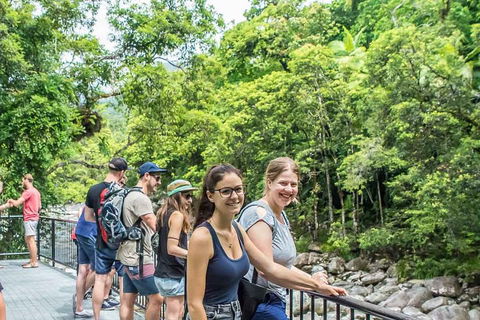 Cape Tribulation, Mossman Gorge, And Daintree Rainforest Day Trip From Cairns Or Port Douglas - Sunshine Coast Guide 0