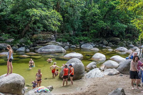 Cape Tribulation, Mossman Gorge, And Daintree Rainforest Day Trip From Cairns Or Port Douglas - Sunshine Coast Guide 1
