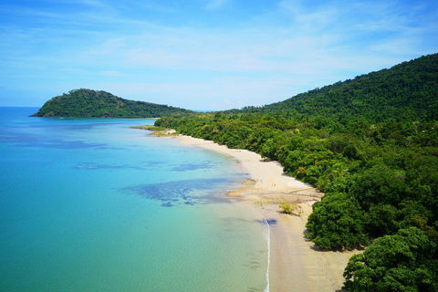Cape Tribulation, Mossman Gorge, And Daintree Rainforest Day Trip From Cairns Or Port Douglas - Sunshine Coast Guide 5