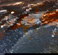 One Day Litchfield Park Adventures - Sunshine Coast Guide