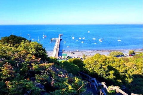 Mornington Peninsula Sightseeing Tour For 2-6 Guests. - Sunshine Coast Guide 1