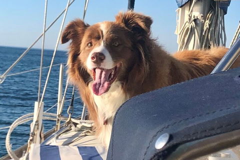 Mornington Peninsula Sightseeing Tour For 2-6 Guests. - Sunshine Coast Guide 2