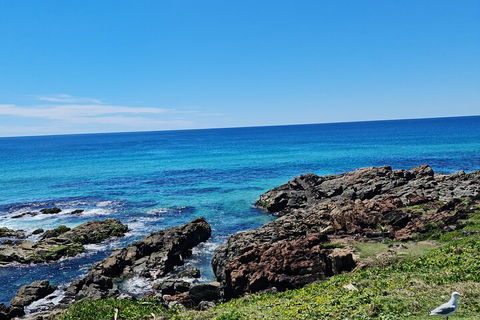 Private Custom Byron Bay Day Out - Sunshine Coast Guide 4