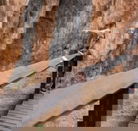 Chillagoe Caves and Outback Day Trip from Cairns