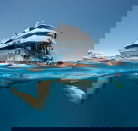 3 Day Great Barrier Reef Daintree Rainforest and Outback Chillagoe Tour