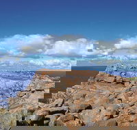 4 Day Tour Albany Margaret River Valley of the Giants TreeTop Walk from Perth - Sunshine Coast Guide