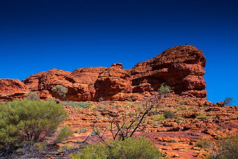 7-Day Guided Tour Of Alice Springs With Accommodation Included - Sunshine Coast Guide 4